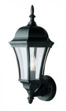 Trans Globe 4502 BK - 1LT CAST ALUM. OUTDOOR LANTERN